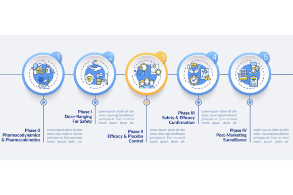 Clinical Study Phases Vector Infographic: A Powerful Graphic Template for Business Branding