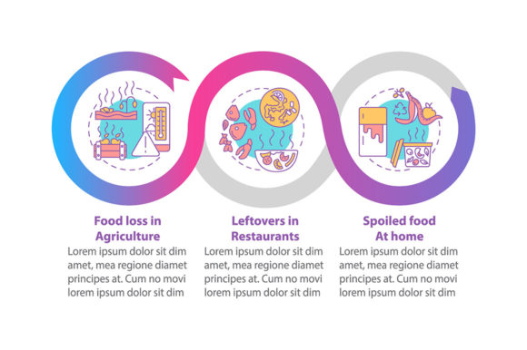 Food Waste Kinds Vector Infographic Graphics