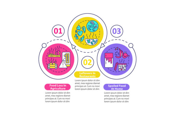 Food Waste Sorts Vector Infographic Graphics